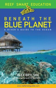 reef smart guides beneath the blue planet