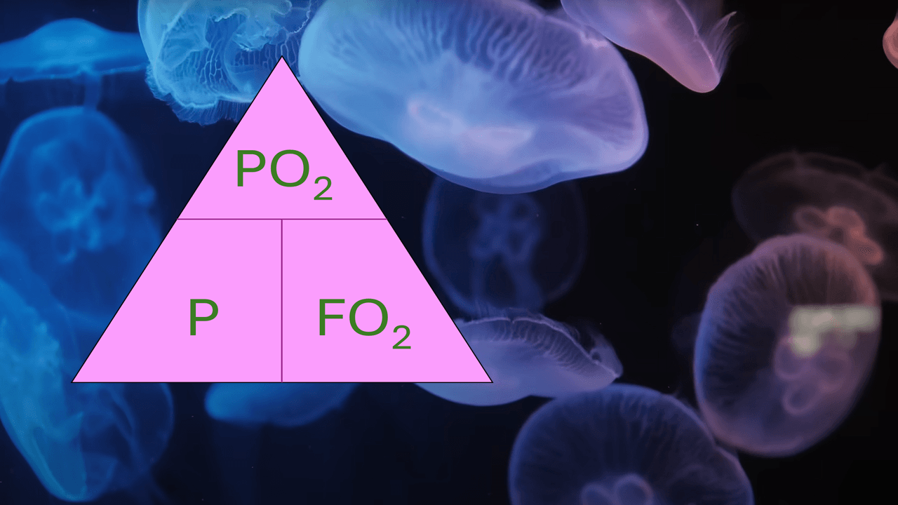 Oxygen Exposure Limit