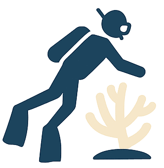 Indian Ocean conservation